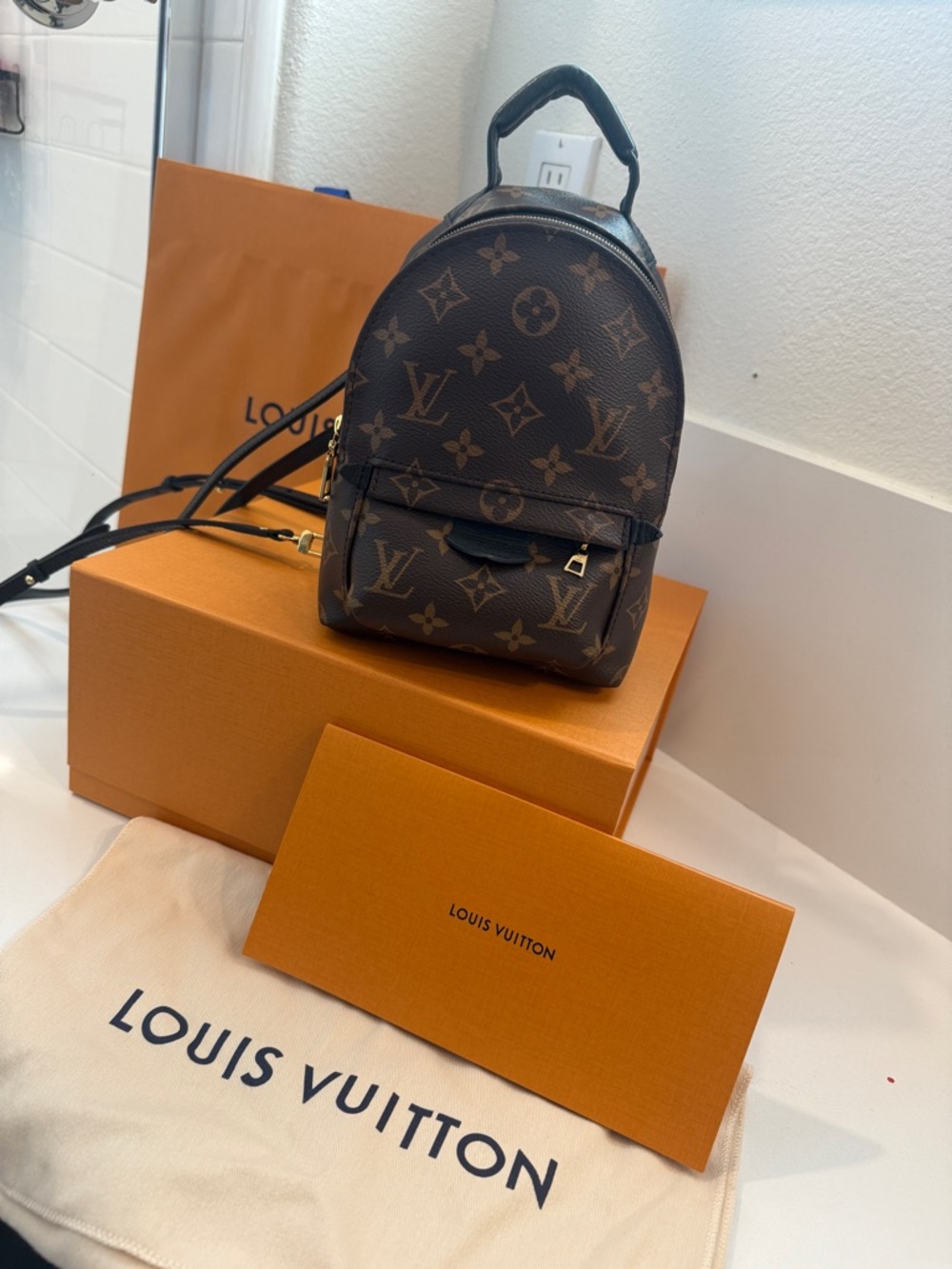 Louis Vuitton Palm Springs Mini Backpack Monogram Canvas Reverse Bag - Picture 6 of 6